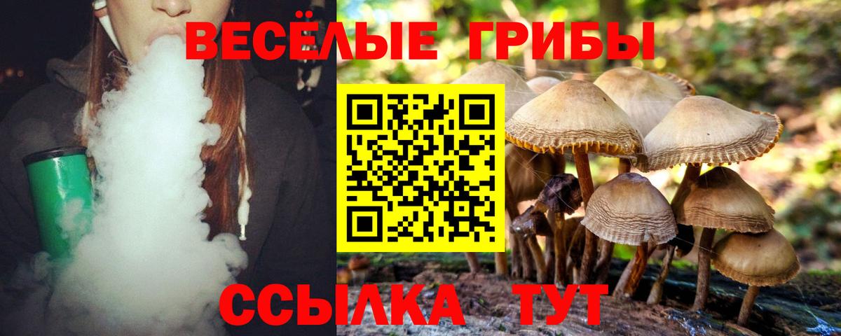 Галлюциногенные грибы мухоморы  Вход с VPN  Сергиев Посад  Псилоцибиновые грибы Cubensis 
